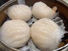 沙律蝦餃-尝囍煲仔小菜