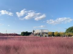 -嘉北郊野公园