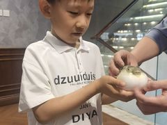 -肆月河豚·新淮扬(金融街店)