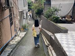 -长洲岛
