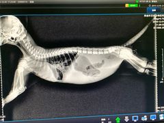 -百信宠物医院(东升街店)