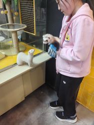 -神奇动物撸宠馆·羊驼·小浣熊·异宠(豫园店)