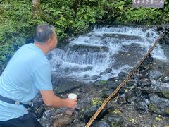 -峡谷浮石林景区