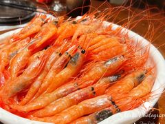 -黑松白鹿(崇文门新活馆店)