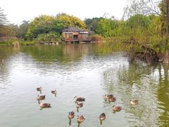-海珠湖公园