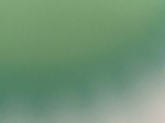 -中国银行(珠海迎宾支行)