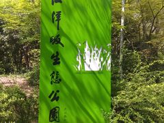 -西湖风景区-江洋畈生态公园