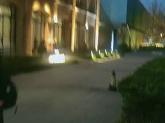 -海味观(老西门店)