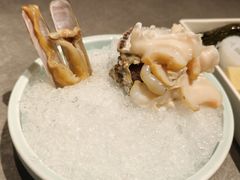 蛏子-鼎鼎香·港式火锅(北京SKP店)
