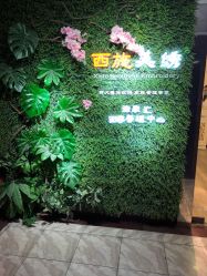 -西施无菌半永久纹绣眉眼影唇轻增发纹发际线