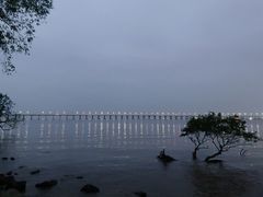 -宝安西湾红树林湿地公园