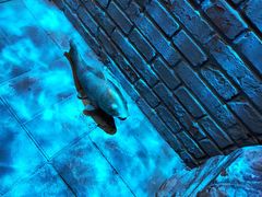 -后海16号·北京私房菜