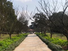 -南山植物园