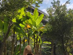 -天芳悦潭度假村温泉