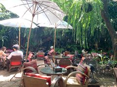 -Fern Forest Cafe
