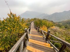 -大岭沟猕猴桃谷风景区