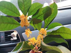 -串大叔炭火烤串·鸡西大冷面刀削面(总店)