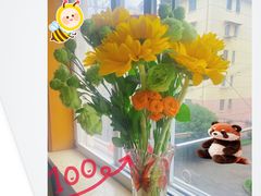 -双季花艺园艺市场(浦东店)