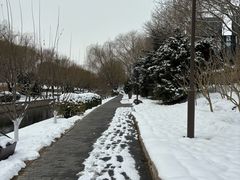 -元大都城垣遗址公园