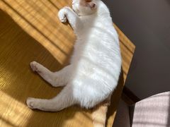 -B.O.M波姆烘焙(凤凰街店)