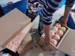 -老袁家蜜桃农场·阳山水蜜桃