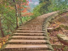 -大罗山风景区