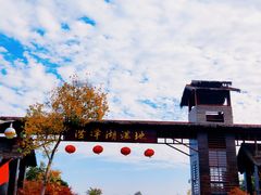 -泗洪洪泽湖湿地景区