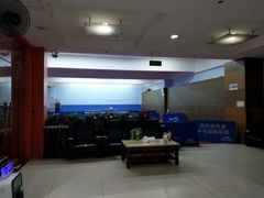 -大凤凰乒乓球馆