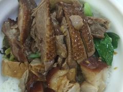 -潮双喜正宗澄海狮头鹅华利路店