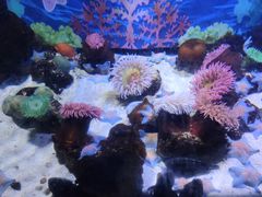 -南昌融创海世界
