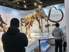 -辽宁古生物博物馆