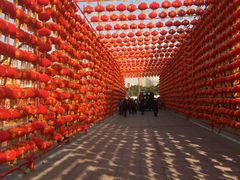 -西安汉城湖景区