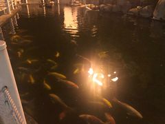 -湖鲜楼