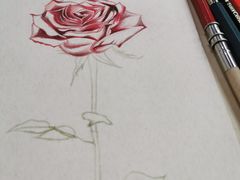 -八哥美术·成人美术画室(总校区)