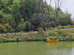 -黄龙溪欢乐田园