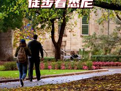 -悉尼歌剧院