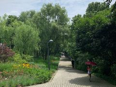 -西湖风景区-江洋畈生态公园