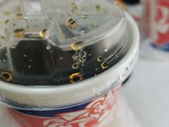 -塔斯汀·中国汉堡(蓝润置地广场店)
