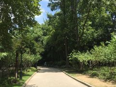 -上海市龙华烈士陵园