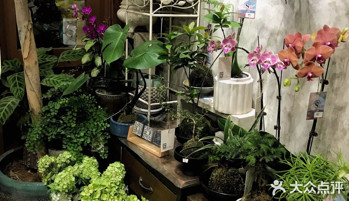 北京新店📍误入霍格莫德村面包房