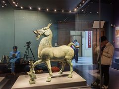 -广西壮族自治区博物馆