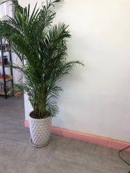 -艺霖Hair salon