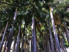 -深圳国际园林花卉博览园