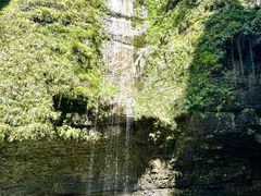 -鹿院坪生态旅游景区