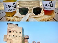 -汕尾风车岛