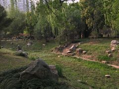 -堤角公园