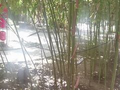 -中卫御苑福膳·养生局(圆明园店)