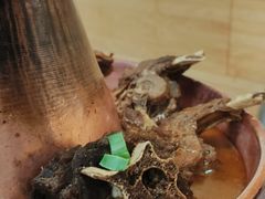 -香满锅老北京羊蝎子火锅·家常菜(新街口店)