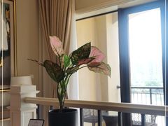 -闲湖城·黄龙饭店