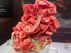 -湖南省地质博物馆